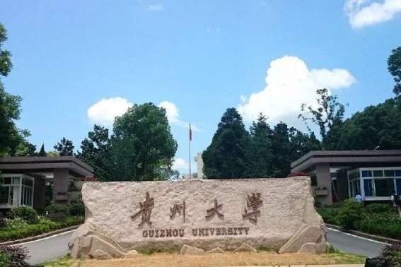 贵州大学2023年录取分数线