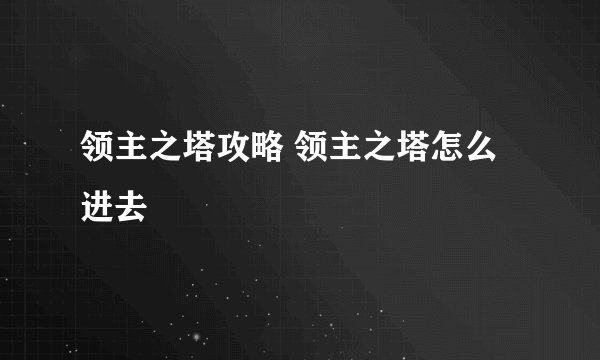 领主之塔攻略 领主之塔怎么进去