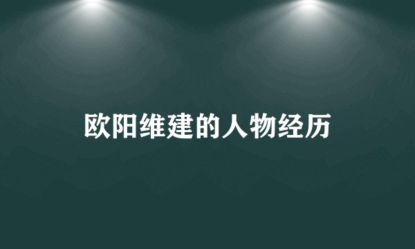 欧阳维建的人物经历