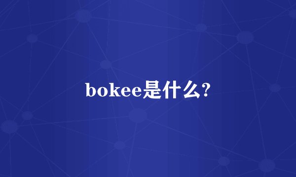 bokee是什么?