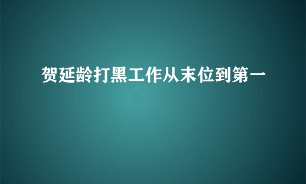 贺延龄打黑工作从末位到第一