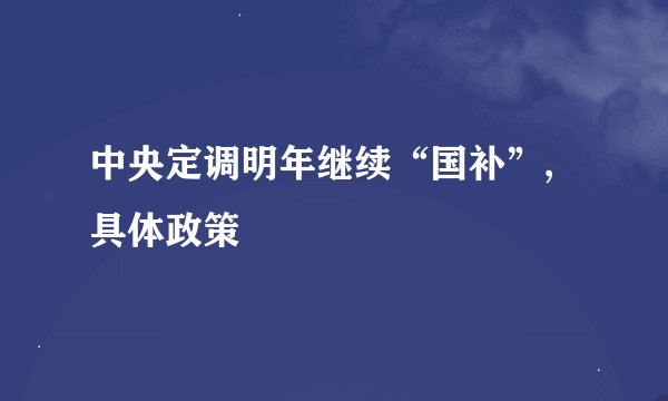 中央定调明年继续“国补”,具体政策
