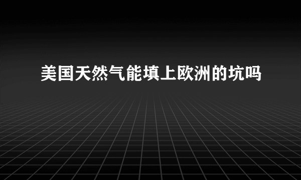美国天然气能填上欧洲的坑吗