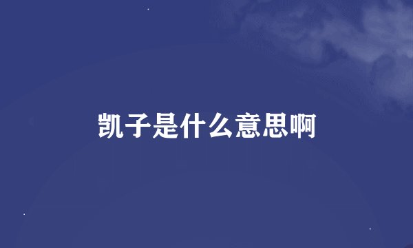 凯子是什么意思啊