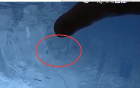 百只鸡被怪兽咬死野兽到底是什么？