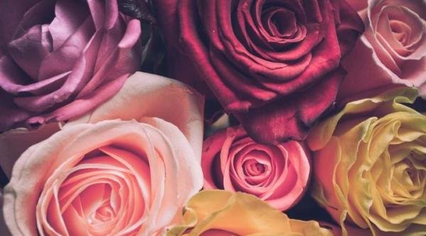 李亚鹏欠债4000万终审败诉，表示没有借过这钱，但会尊重法院判决