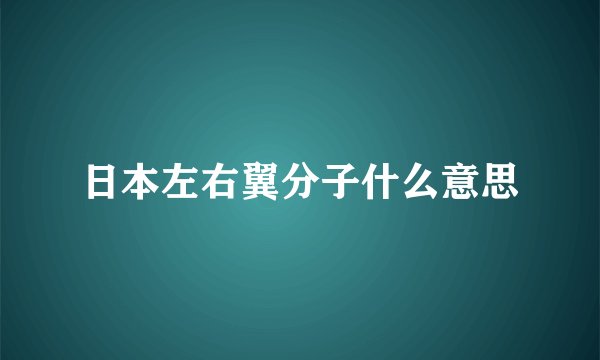 日本左右翼分子什么意思