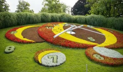 一天24小时分别开的什么花？