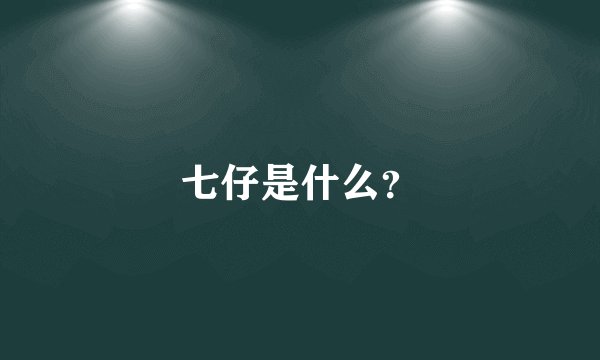七仔是什么？
