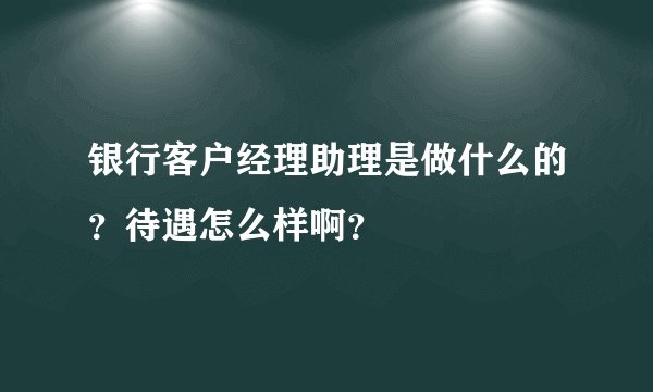 银行客户经理助理是做什么的?待遇怎么样啊?