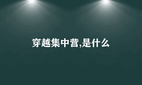 穿越集中营,是什么