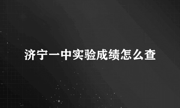 济宁一中实验成绩怎么查