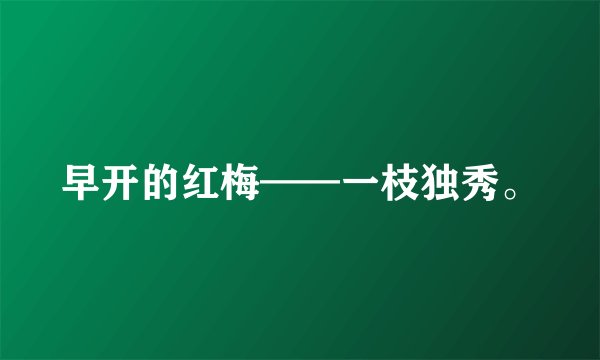 早开的红梅——一枝独秀。