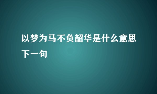 以梦为马不负韶华是什么意思下一句