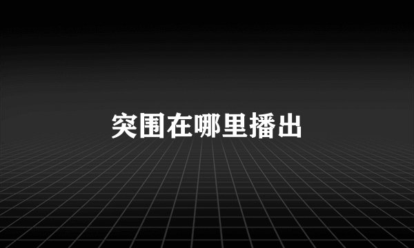 突围在哪里播出