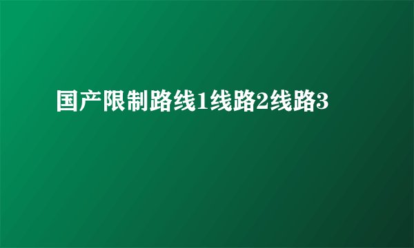 国产限制路线1线路2线路3