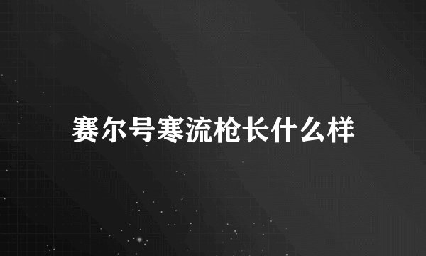 赛尔号寒流枪长什么样