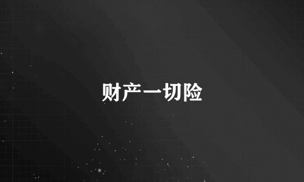 财产一切险