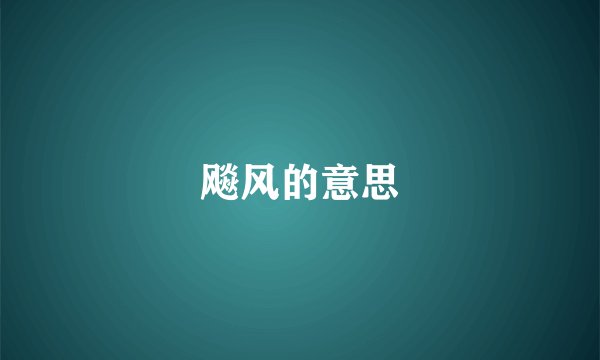 飚风的意思