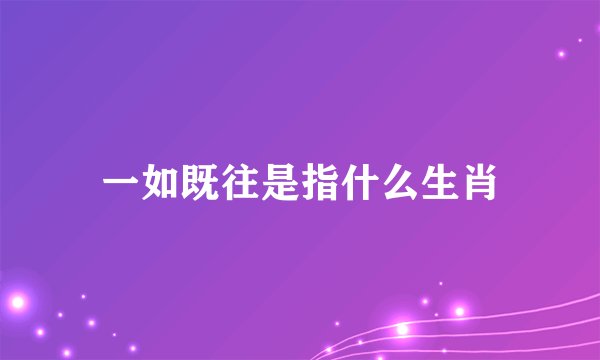 一如既往是指什么生肖