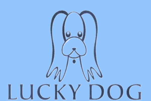 lucky dog是骂人的吗
