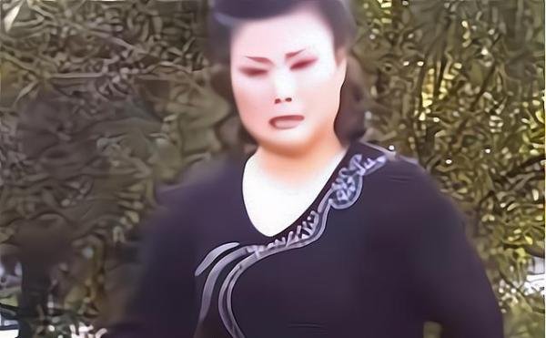 从陕西秦腔名角到精神失常乞讨7年，李苏迎的人生经历了什么？