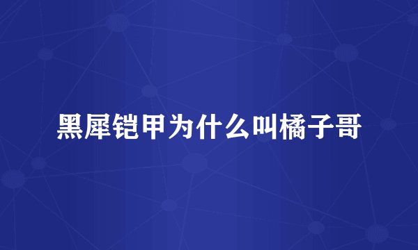 黑犀铠甲为什么叫橘子哥