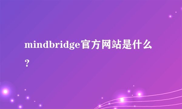 mindbridge官方网站是什么？