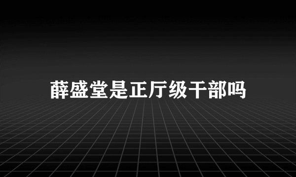 薛盛堂是正厅级干部吗