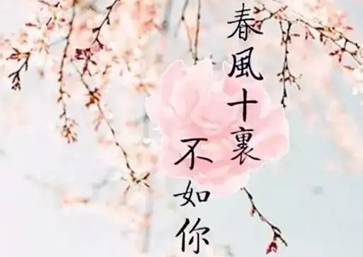春风十里不如你，全诗是什么？