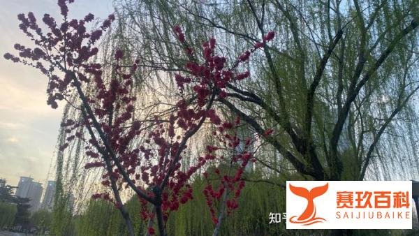320国际幸福日，值得被惦记！