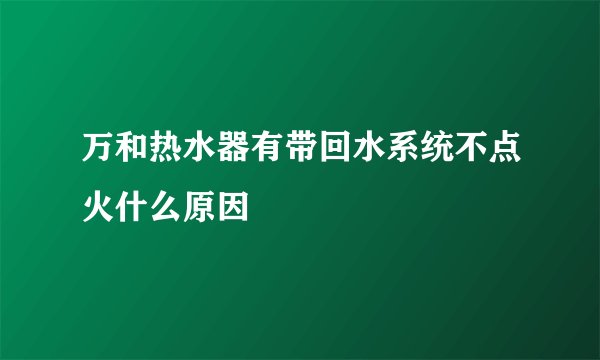 万和热水器有带回水系统不点火什么原因