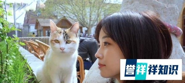 因为留言被雪藏了四个月的王冰冰，是否即将回归央视呢？