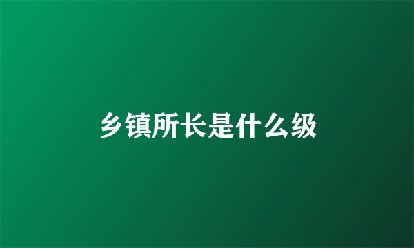 乡镇所长是什么级
