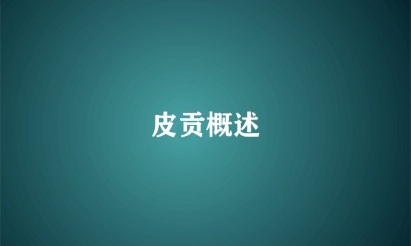 皮贡概述