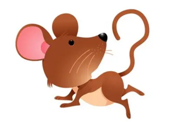 入土为安的动物是什么？