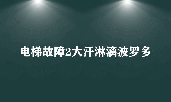 电梯故障2大汗淋漓波罗多