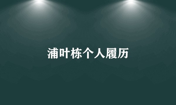 浦叶栋个人履历