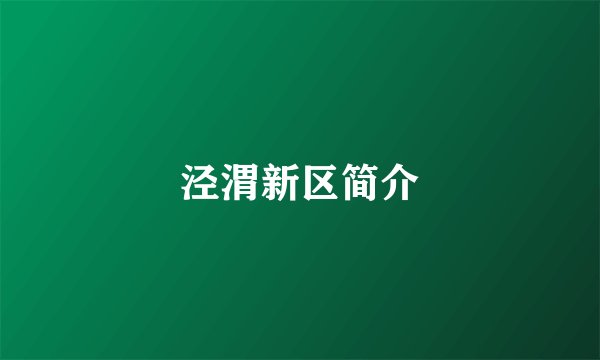 泾渭新区简介
