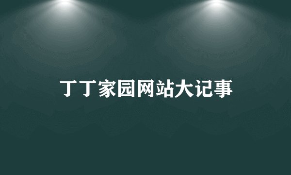 丁丁家园网站大记事