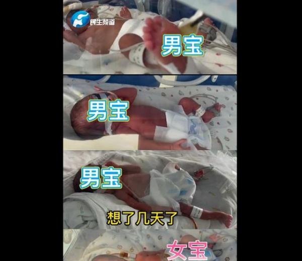 新乡一产妇第三胎生下龙凤四胞胎 这是咋情况？