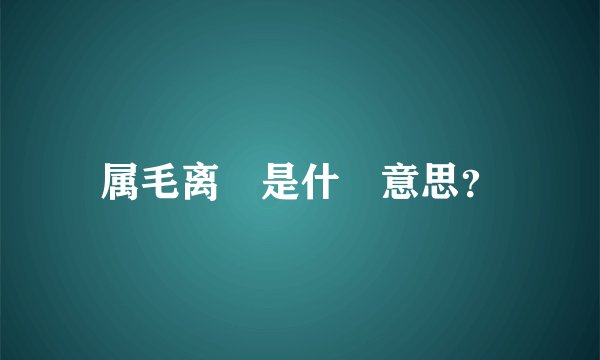 属毛离裏是什麼意思？