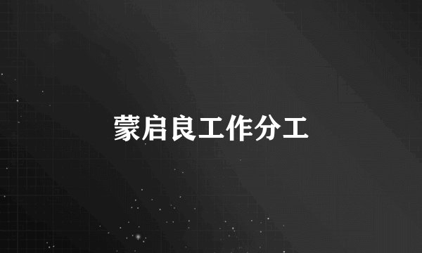 蒙启良工作分工
