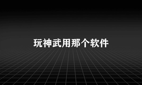 玩神武用那个软件