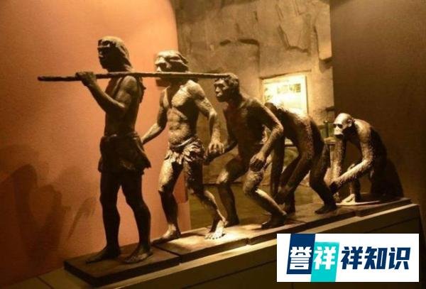 人类并非来自地球？科学家找到“证据”：地球其实是一座监狱