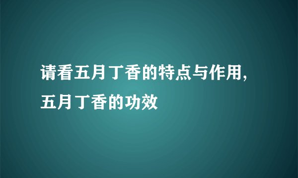 请看五月丁香的特点与作用,五月丁香的功效