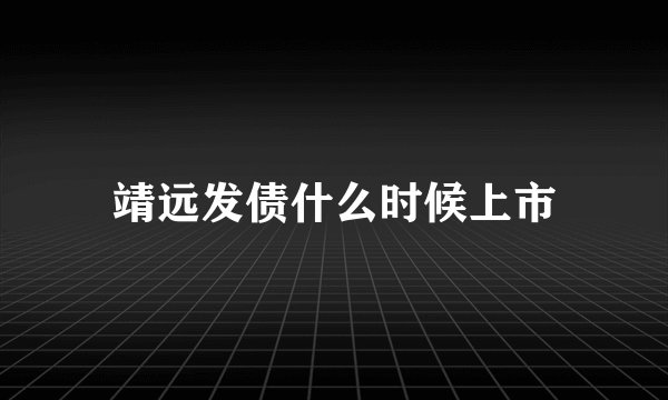 靖远发债什么时候上市