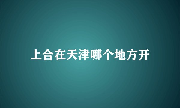 上合在天津哪个地方开