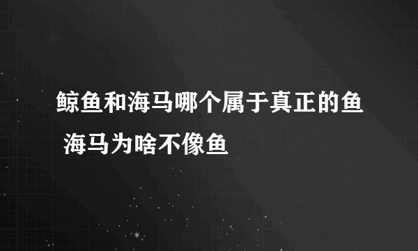 鲸鱼和海马哪个属于真正的鱼 海马为啥不像鱼