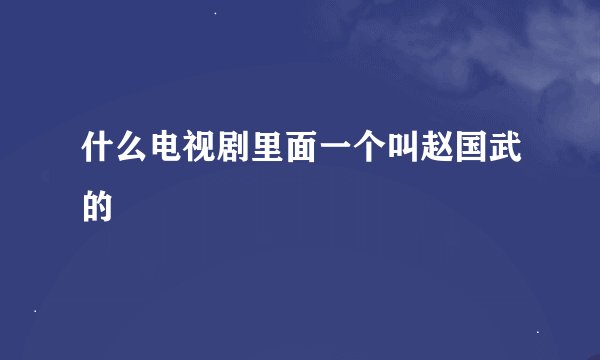 什么电视剧里面一个叫赵国武的